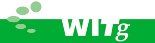 Institut für Werkstoffsystemtechnik Thurgau an der Hochschule Konstanz (WITg) Logo