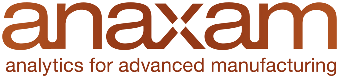ANAXAM Logo