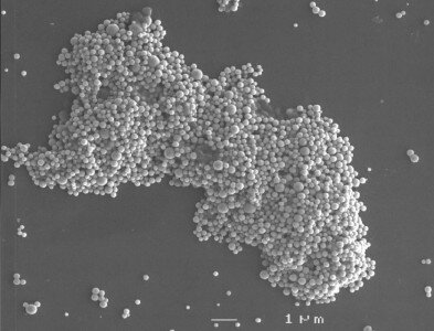 Forschungsfeld: Biogene Nanopartikel 